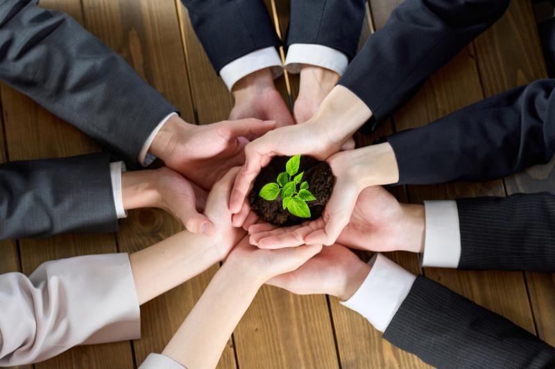 エコな梱包が評価につながる企業の特徴